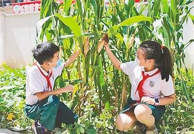 车长|市民坐轮椅乘公交 车长乘客自发助力