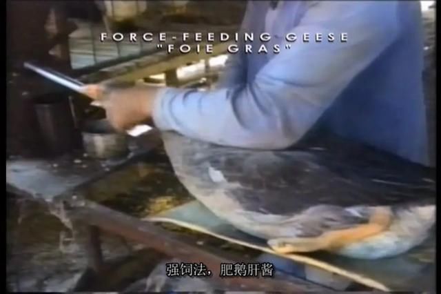  乌克兰|惊魂12小时！乌克兰犯罪小说作家劫持公交车，就为让总统推荐一部电影？