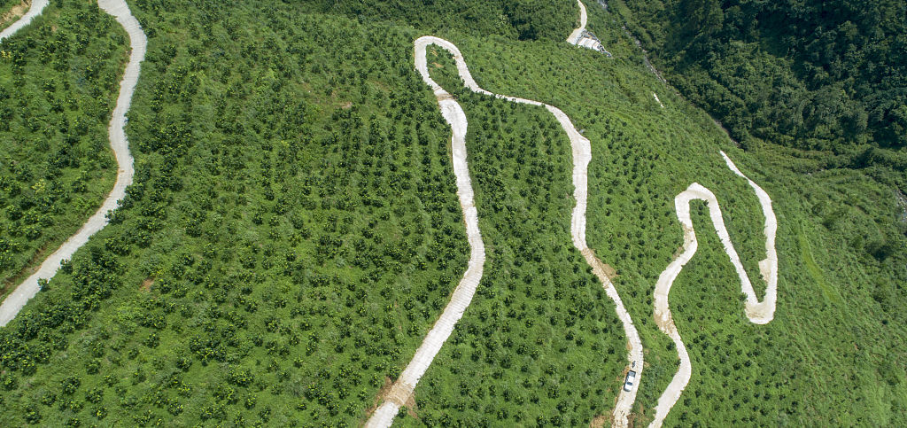  平地果园|果园怎么除草是难题，掌握3种类型的果园除草方法，轻松解决
