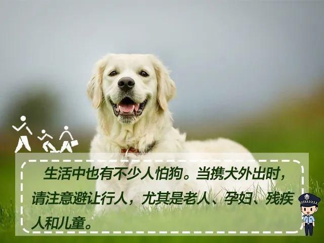 收藏|文明养犬，宠爱有方，《朋友圈式养犬指南》请收藏！