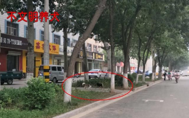 文明|曝光台 | 这些不文明行为你有吗?