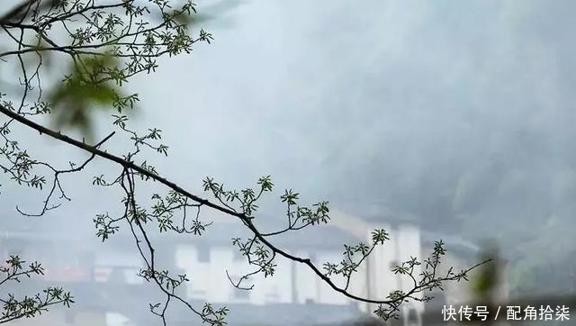 祖先|清明为什么要祭祖?这是我听过最好的答案