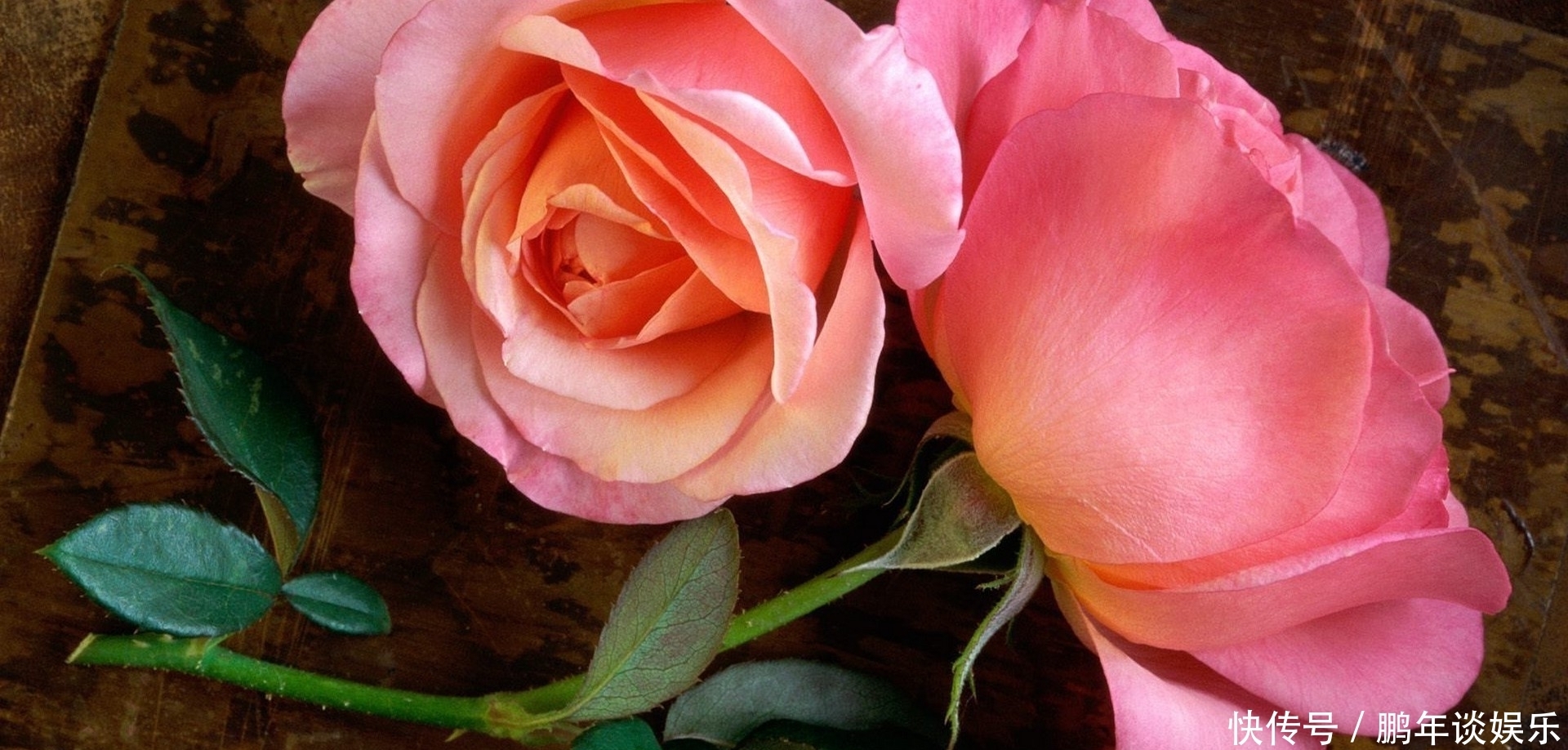  星座|近十五天，初见心动，桃花盛开，喜遇良人，永结同心的三大星座