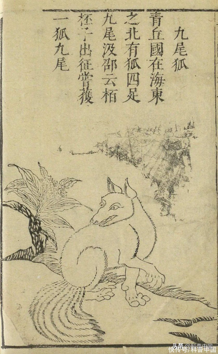 苏妲己和涂山璟什么关系(都是“九尾狐”，《封神》里的妲己会认识《长相思》的涂山璟吗？)