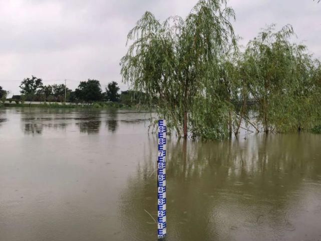 秦淮河|长江水位破记录！我更担心秦淮河