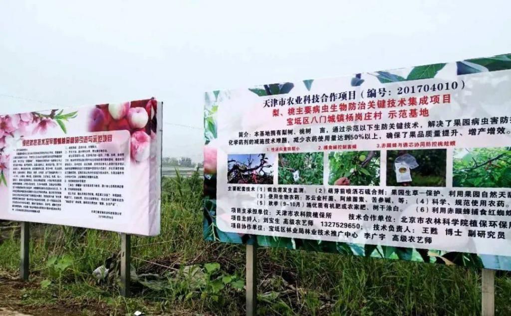  三缘宝地|【夏日乐“桃桃”】这么撩人的桃子，还不赶紧过来看看！！