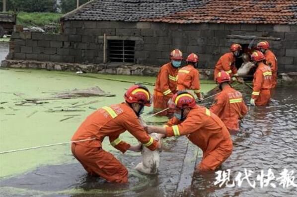  肖恩|【拯救肖恩小羊】消防员4小时接力救出140只羊 咩咩:差点成水煮羊