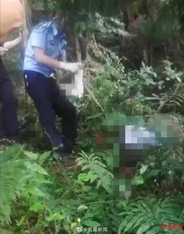  发现|视频：峨眉山山林间发现两具遗骸，警方最新通报