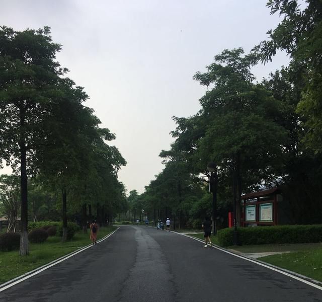  行尸走肉|人生没有意义，过得行尸走肉？老子：答案在于顿悟人性