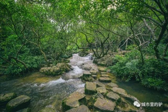  长白山|三伏暑热天，让我带你去这些只有25°的地方纳凉吧！