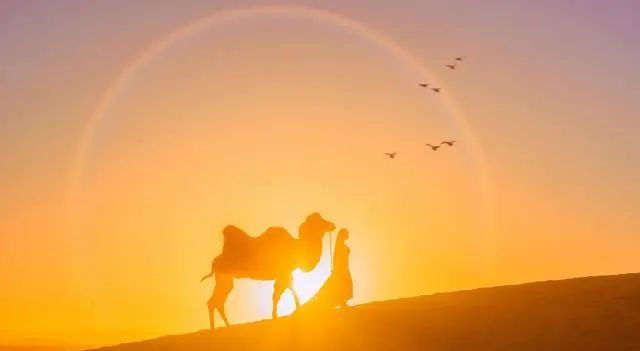  年过半百|年过半百，真正的幸福，不过如此