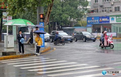 耐心|下雨天行人耐心等红灯