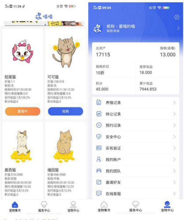 骗人|损失上亿!网上“养猫”6000多人被骗,多地警方已立案