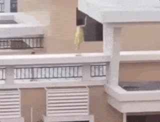  现实|现实版“隐秘的角落”：教唆幼女上天台玩“死亡游戏”，我看了惊出一身冷汗