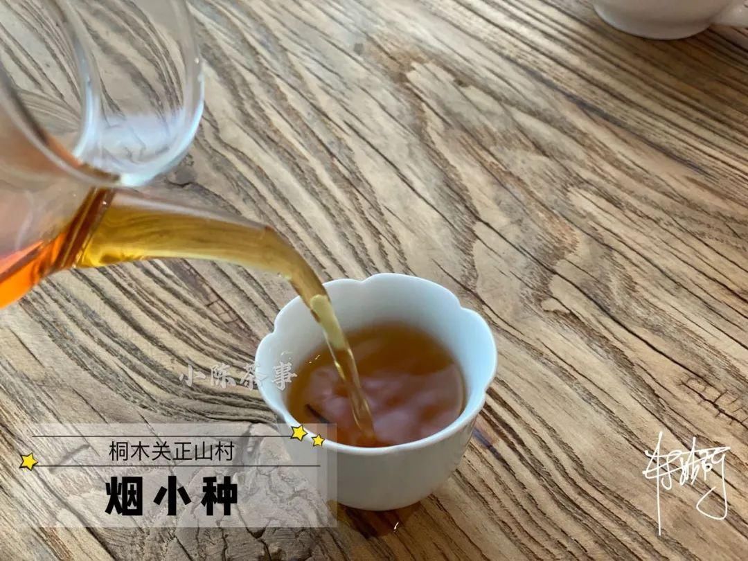 传统|从老丛红茶、烟小种到花香小种，这款红茶代表了传统小种的定义