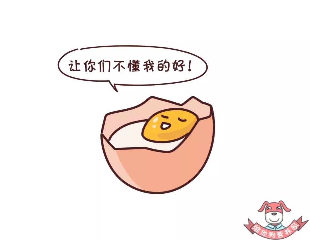 营养|土鸡蛋真的比洋鸡蛋好吗?鸡蛋怎么吃更有营养?