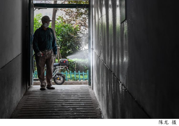 梅雨季|超长梅雨季走了，但后遗症来了！近期蚊虫孳生呈上升趋势，上海集中灭蚊三个月