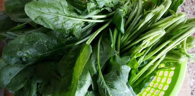  血脂|血脂高百病生，日常多吃这6种食物，血脂慢慢恢复正常值！