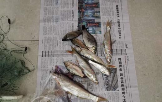  非法|沙洋警方破获一起非法捕捞水产品刑事案件