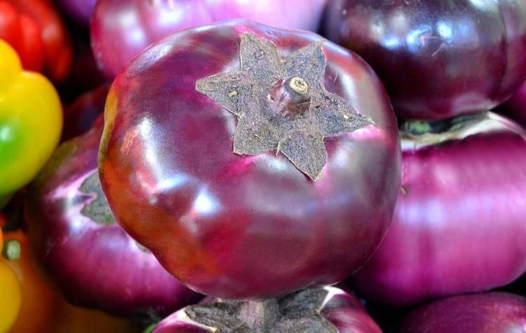 天天|保存茄子别放冰箱,学会这样做,久放不坏,天天吃新鲜的茄子