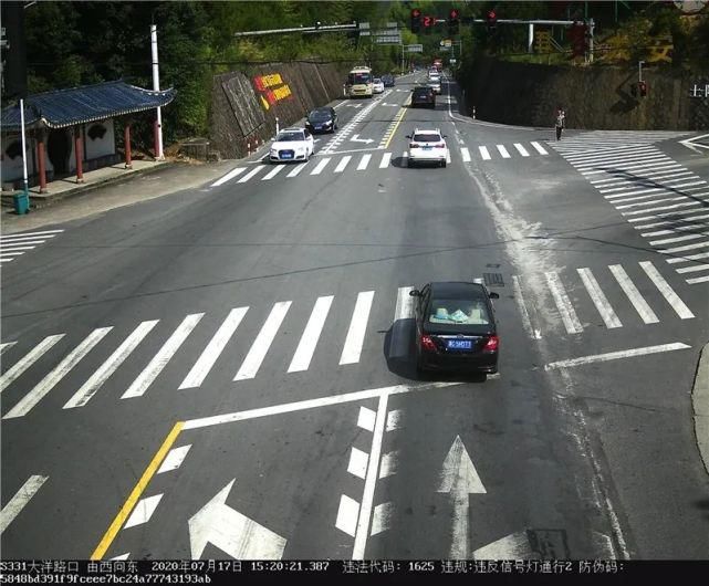 驾驶机动车违反道路|泰顺这些车主被曝光！