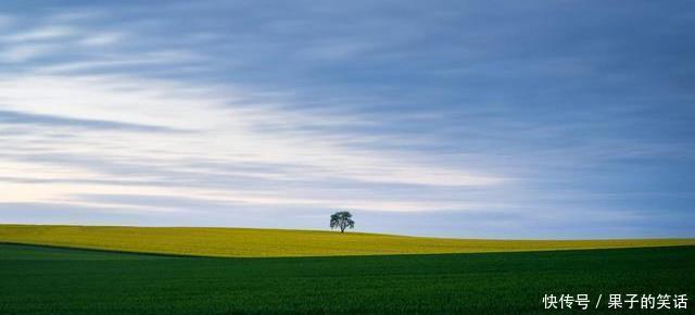 贵人|8月将至,好运气找上门、贵人提携主动来的生肖