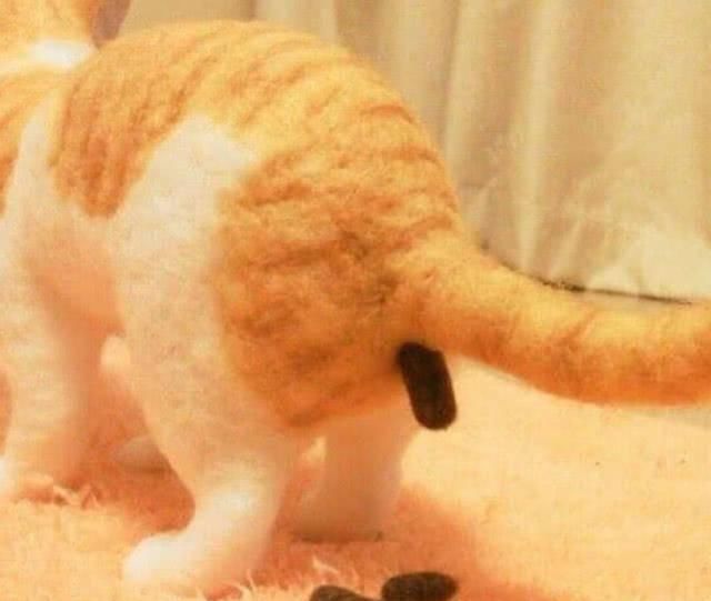  母亲|主人对母亲恶作剧，在客厅做了个猫摆件，看到这一幕母亲气笑了