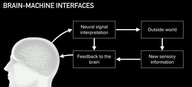 未来|马斯克的Neuralink脑机接口是噱头还是未来?
