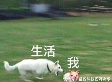 工作室|仝卓这不就是撕人答题卡吗?