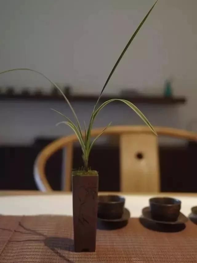  闲则能|偷得浮生，半日闲