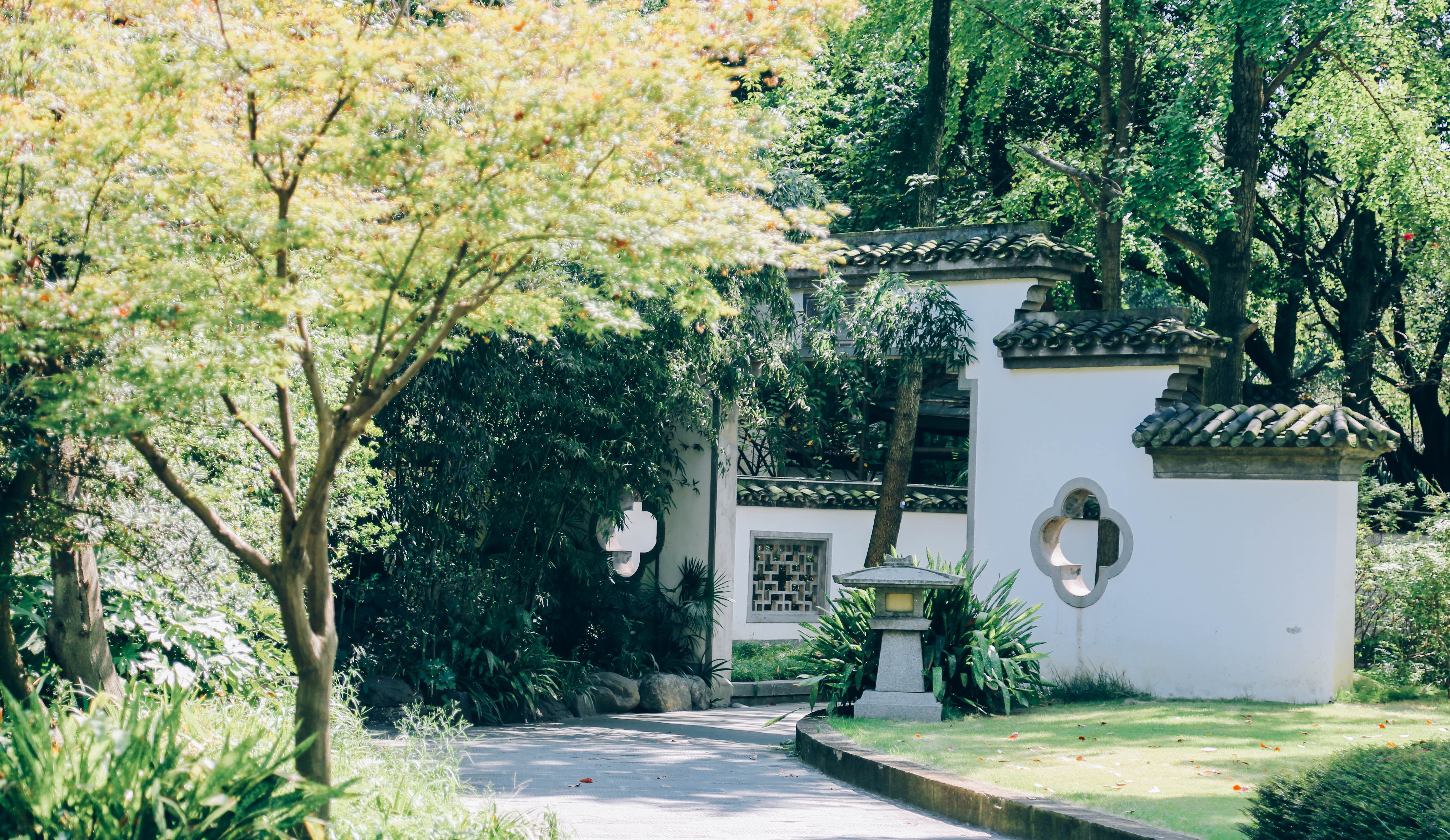 记录一下|成都,撑肚!成都的旅途中,少不了美食的“浓墨重彩”