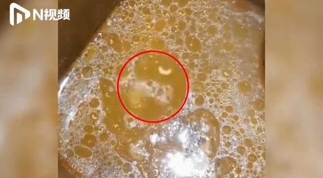 漂浮|火锅吃到一半，惊觉汤底漂浮疑似蛆虫更恶心的是……