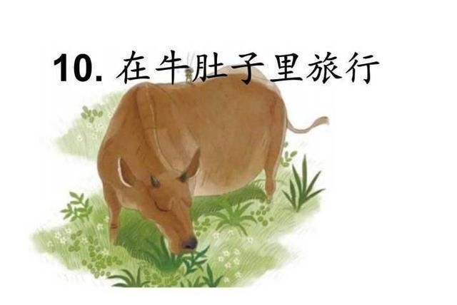  青头|三年级语文上册《在牛肚子里旅行》预习笔记，真的友谊是雪中送炭