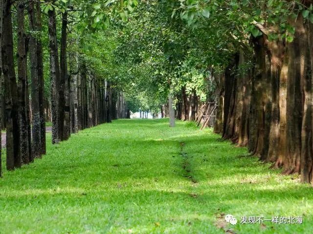 感觉|北海新发现:这个网红公园太漂亮了,感觉到了欧洲