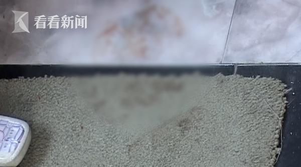 浦东警方|12年追凶，“小洋房”杀害母女案告破！