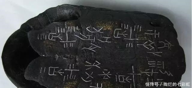 乌龟|文玩人“盘”活乌龟,还能“挂瓷”你能接受吗?