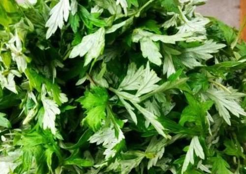  此物|此物是湿气的“克星”，每天换着吃，或能排出多年湿毒、胜过拔罐