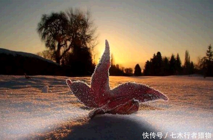 恒久的爱情,最好能从爱情开始的时候,就对