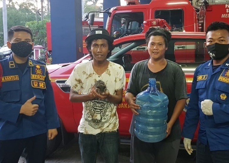 猫头|贪玩猫头卡蒸馏水桶,消防花半小时助脱身