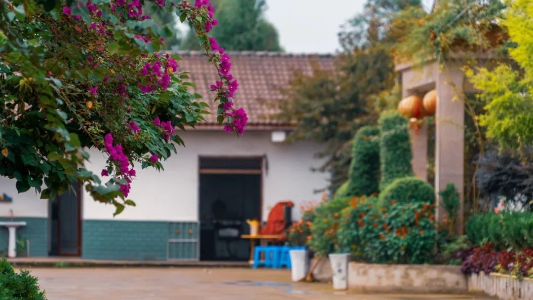  仁寿|仁寿有个村，名字叫“同意”！