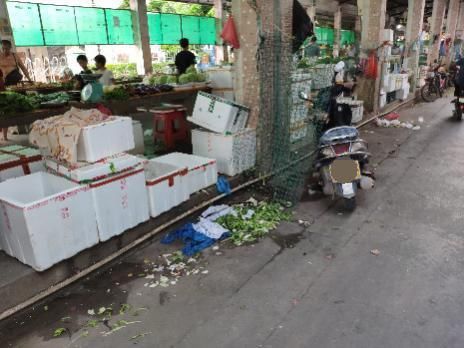 理应|【创文进行时】不回避,不遮丑!这些不文明现象理应整改