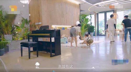  豪宅|郑爽新综艺被气哭？当看到综艺里的森林豪宅，我羡慕哭