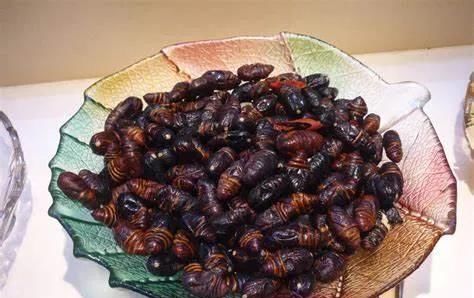 盘点|盘点全国各地下酒菜:我国民风已经彪悍成这样了吗?