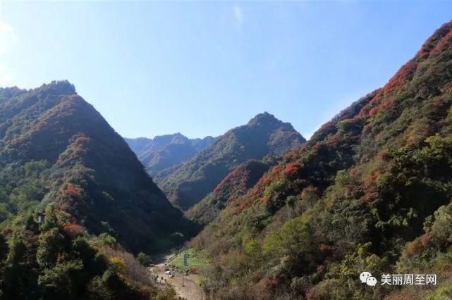  周至|周至有一种风景，叫青山红叶！