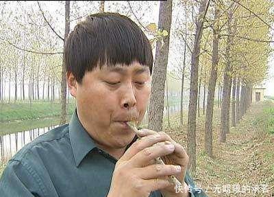 刘大成|为走红不惜身份作假!冒充草根多年,韩红一怒之下将其轰下台