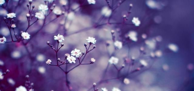  狮子座|承受得起大风大浪的3星座, 内心强大, 会去击垮挫折