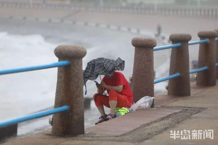 降水|青岛澳门路海边风大浪急，仍有人顶着大浪捞海冻菜