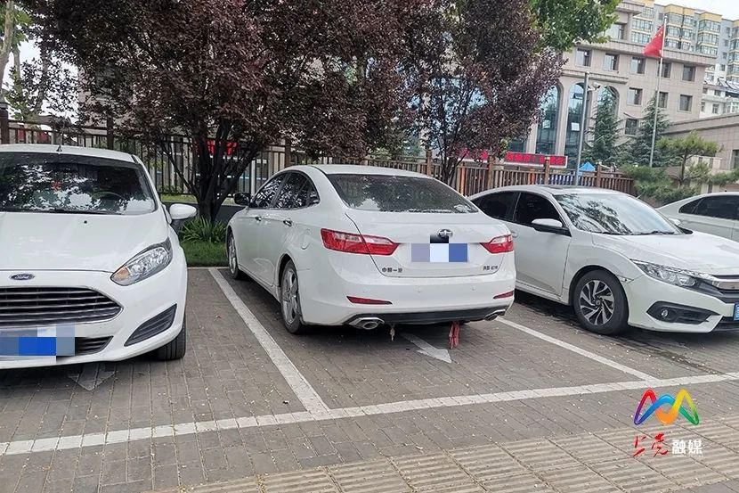 按规定|曝光台 | 按规定停放车辆很难吗？