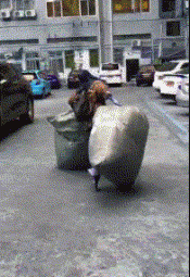 GIF|搞笑GIF:跟着这妹子二里地了,我该怎么上前打招呼呢