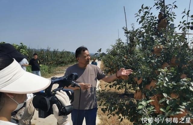 样板片区|乡村振兴看威海主题活动启动，首站走进埠柳